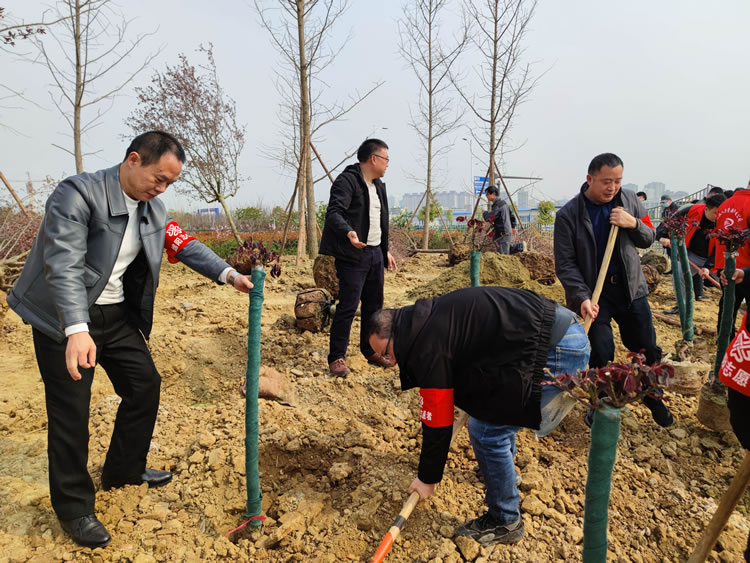达坤公司组织参加“我为绵州植棵树，共建绿美科技城”义务植树活动
